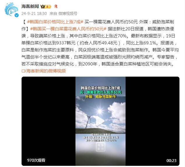 韩国白菜价格同比上涨7成 买一棵需花费人民币约50元 外媒：韩民众担忧会威胁泡菜制作