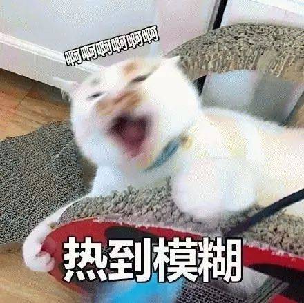 广州将迎强雷雨局部大暴雨！这些区域将退出“高温群聊”，降雨时间→