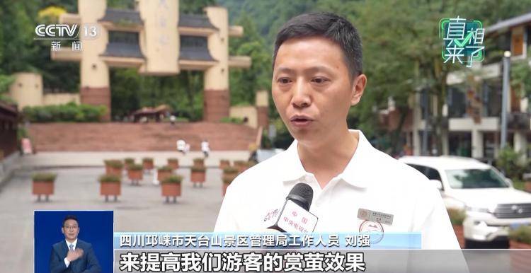 网传萤火虫濒临灭绝,是真的吗?