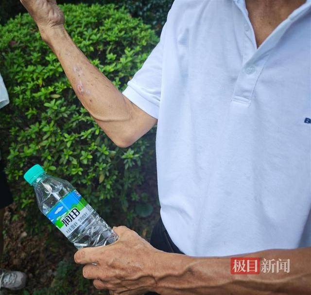 被流量砸中的“鸡排哥”：每天只休息四五个小时，二舅哥家的民宿已爆满