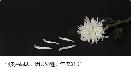 广东：全省各地各部门迅速进入临战状态