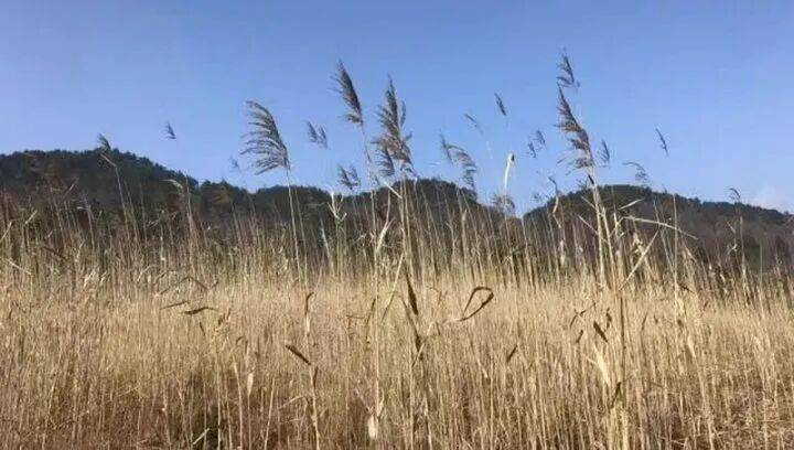 禁止任何形式穿越！杭州一地发布最严禁令