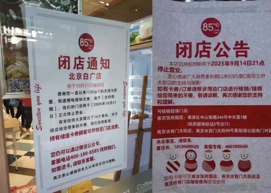 35元一个的“沪币”面包,在四线小城杀疯了