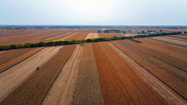 早八条丨春节假期共9天 2026年放假安排来了!/长春市2025年“回长人才创业激励项目”申报启动