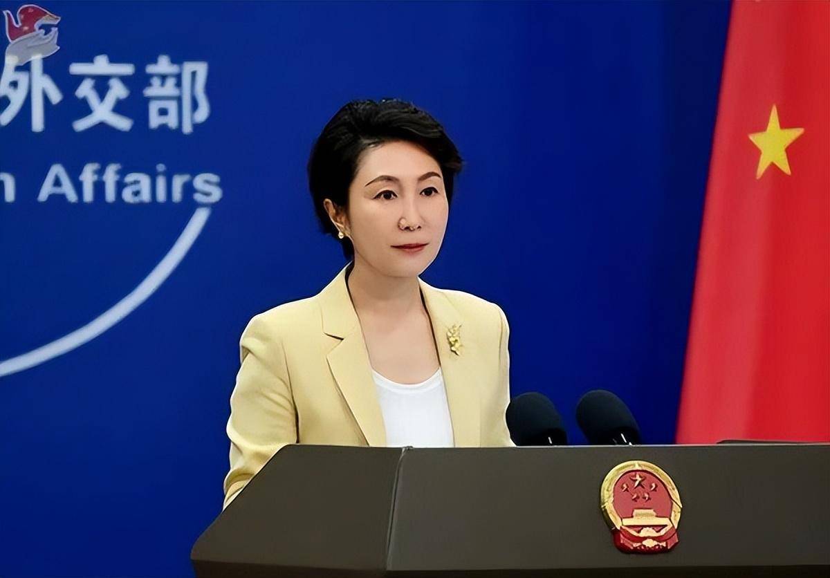 外交部:中方没兴趣搜集