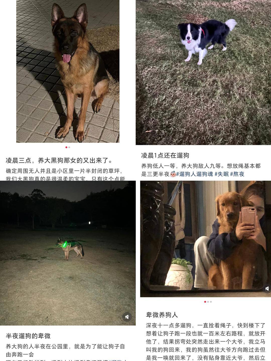 “史上最严”养犬新规今起施行 养犬人自研遛狗神器防被讹｜封面深镜