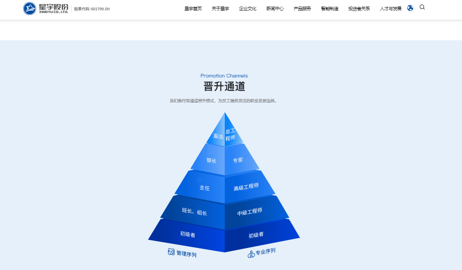 “人力资源总监”查无此岗？星宇股份：总监级别比部长高，相关人员已停职