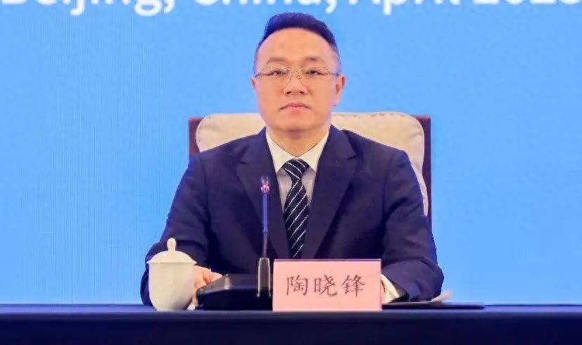 陶晓锋，被查