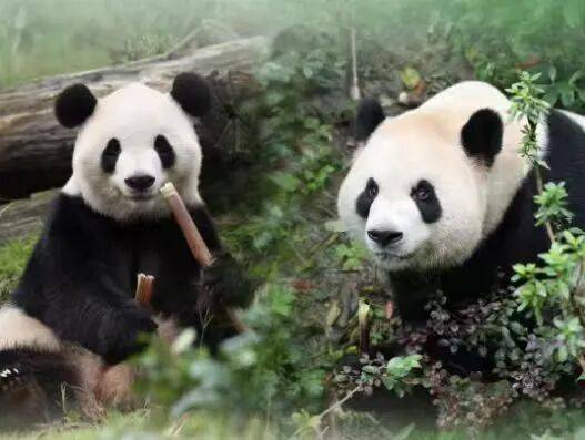 今天限行尾号有变！北京即将大风降温！过去三天，北京超128万人次都在做这件事！ | 朝闻北京