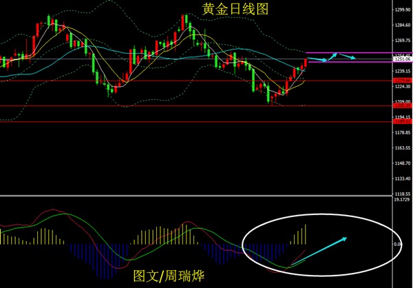 原油价格周瑞烨(原油价格最新价格)