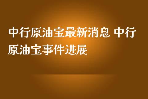 中行原油宝美国原油(中行原油宝亏300亿美元还是人民币)