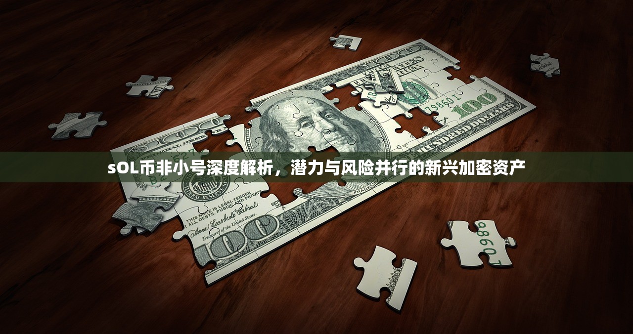 非小号(非小号2026新版)
